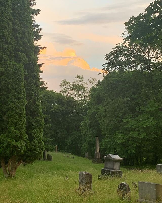 This sky has Bob Ross painted all over it. Ithaca&rsquo;s skies have been superb lately. Lively walk through the cemetery near Cornell this evening. Those deer are so beautiful and so tame! #cornell #ithaca #visitithaca #bobrosspainting