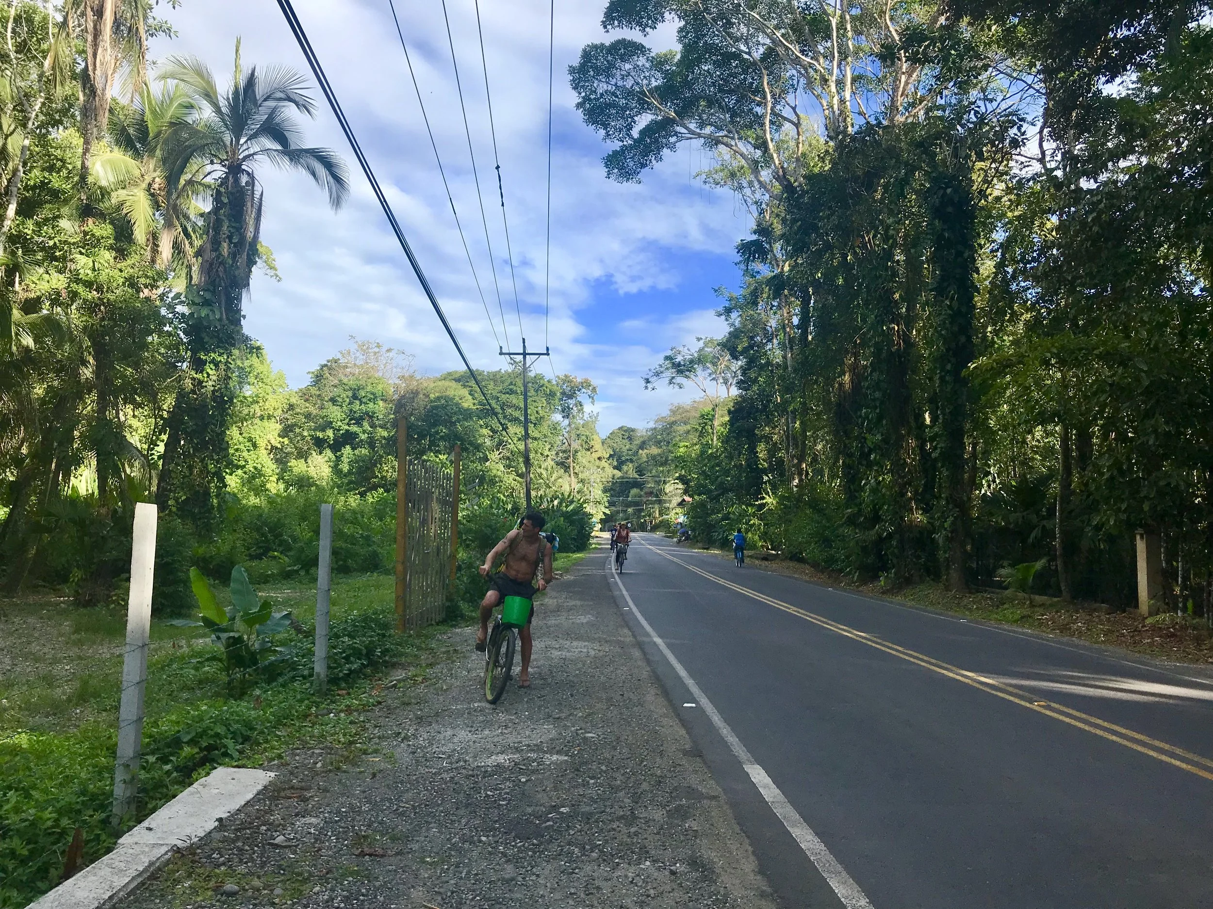 The Bliss Sabbatical