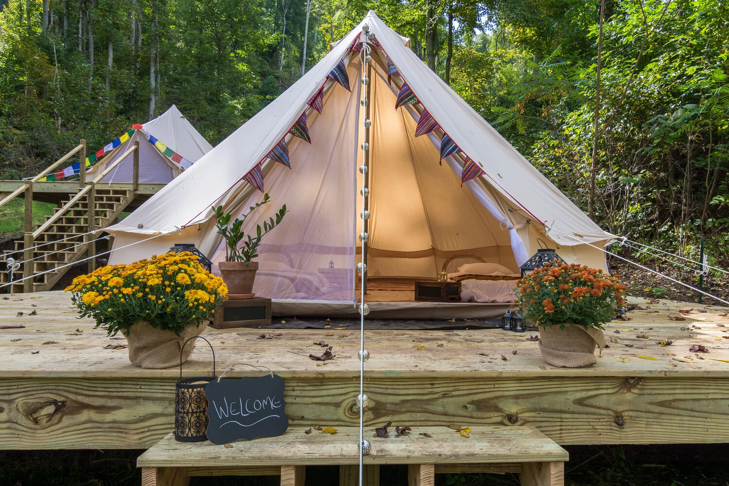 Copy of 347 Town Branch Rd. Cabin-2-18.jpg