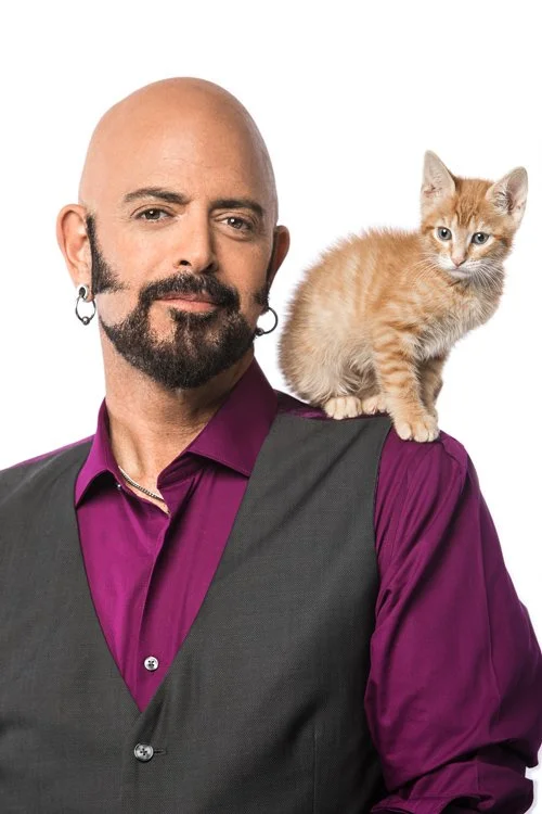 Jackson Galaxy's Cat Camp