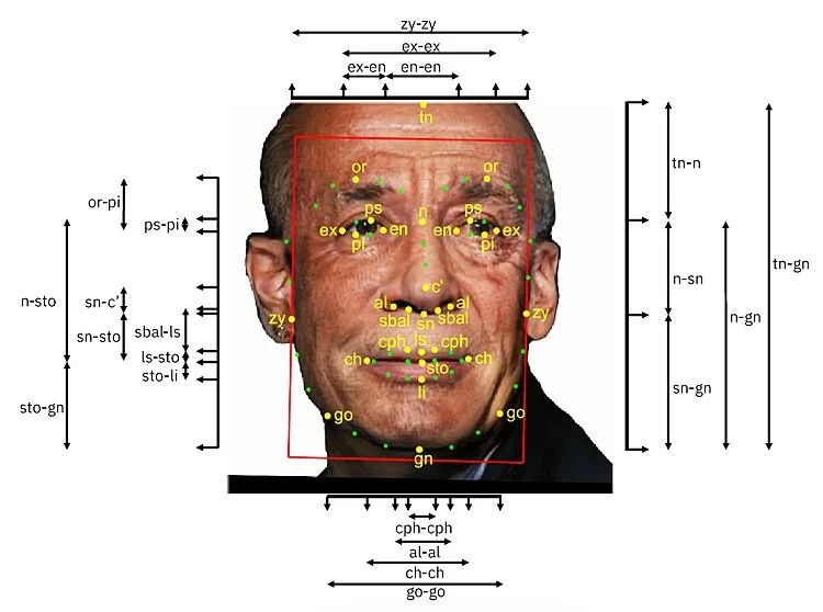© Kate Crawford and Trevor Paglen. IBM's Diversity in Faces