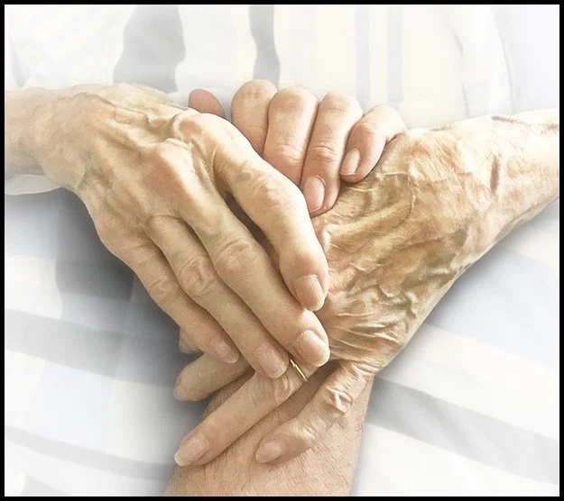 © Edward Bateman. Hands, 2019