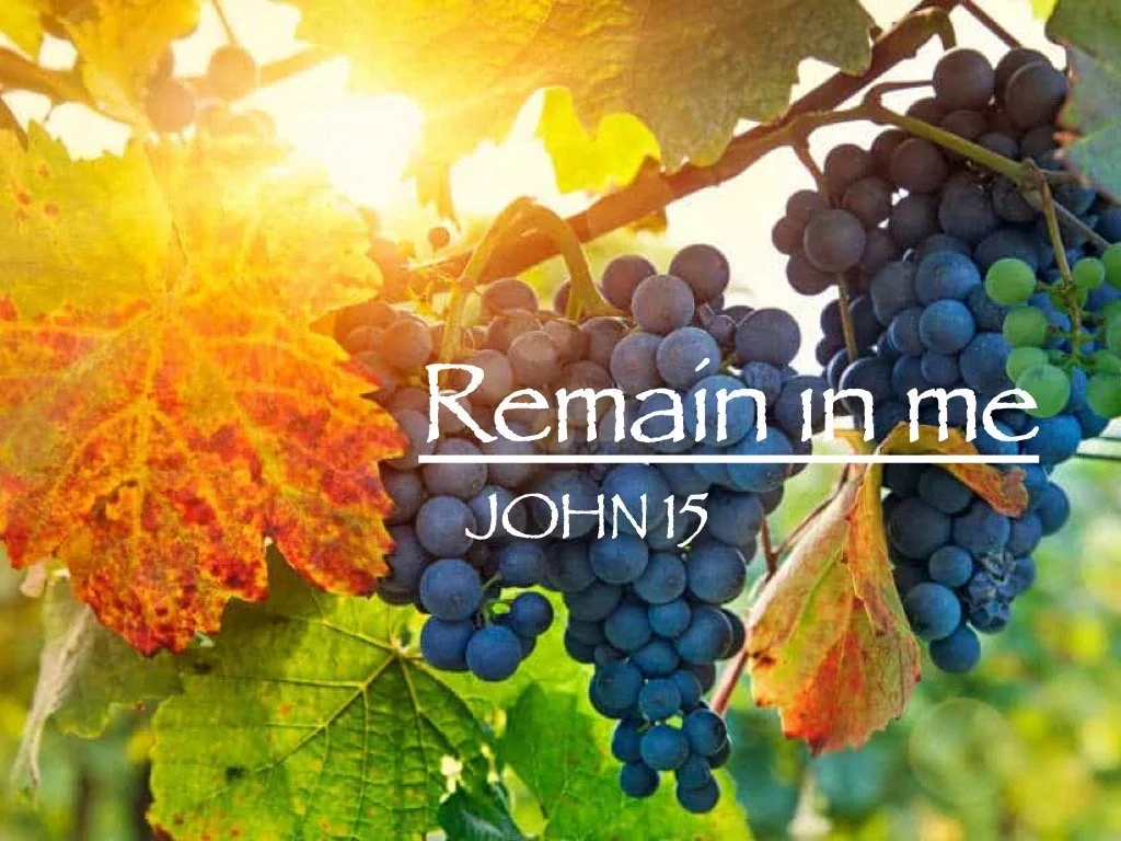 Remain In Me - John 15