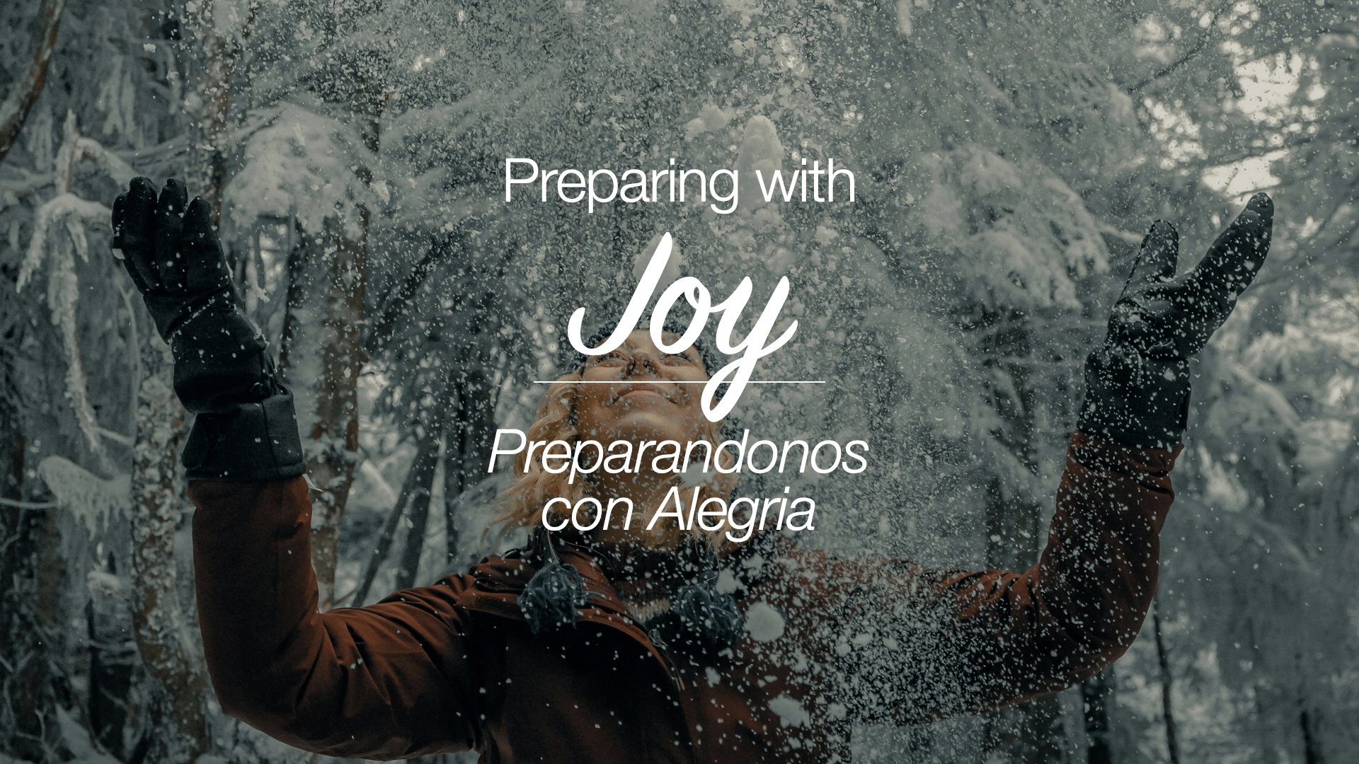 Preparing for Advent - Preparing with Joy
