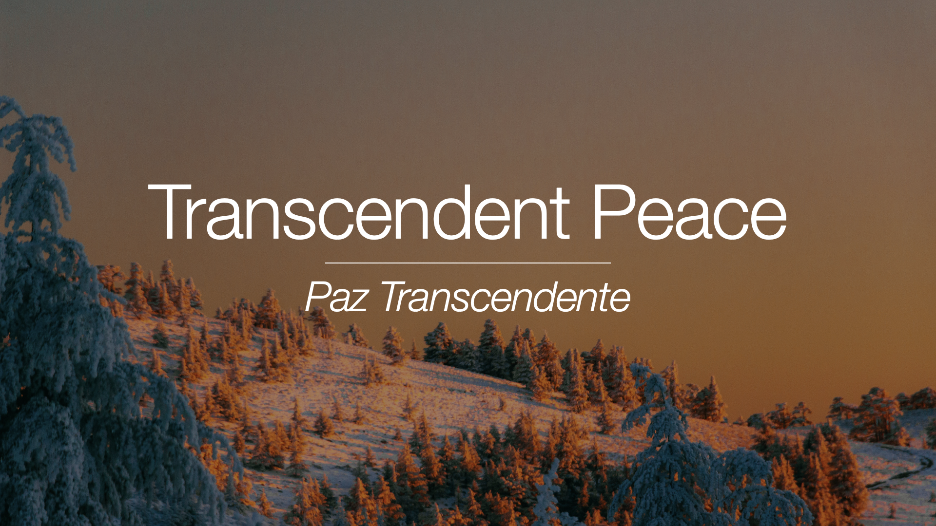 Transcendent Peace