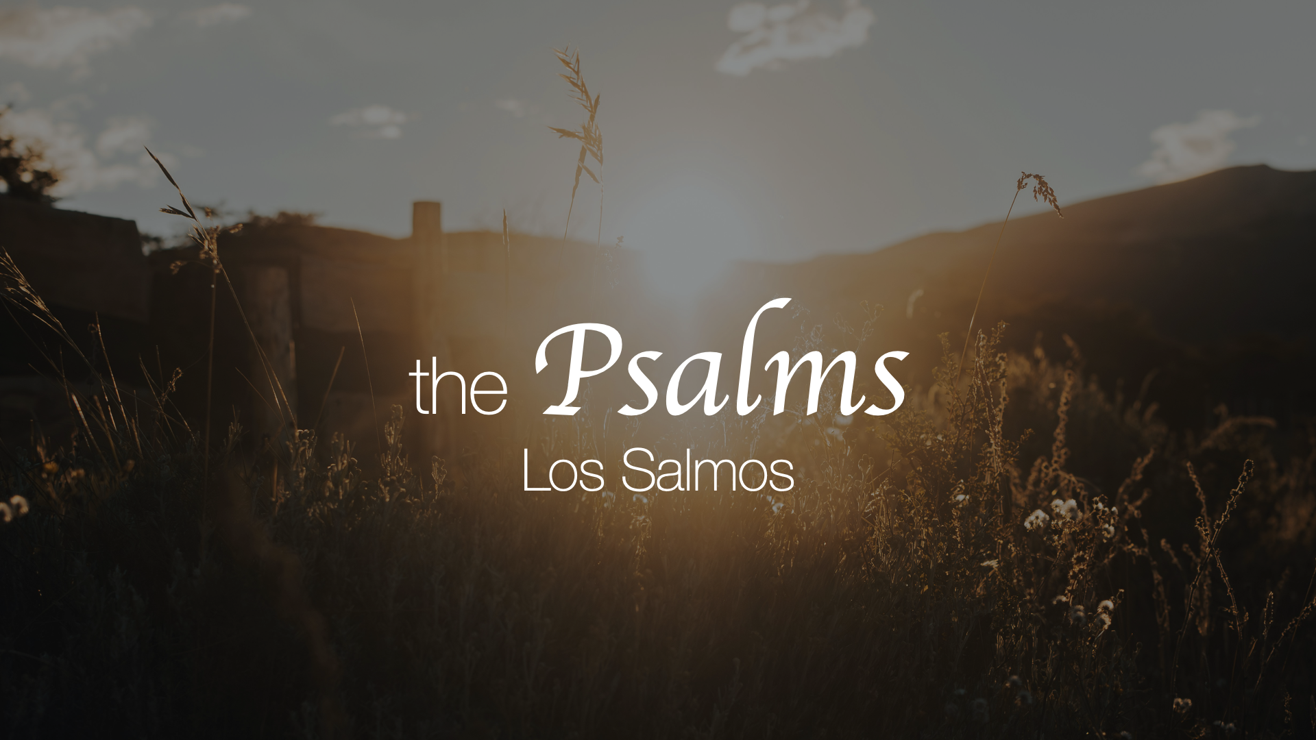 The Psalms (part 1)