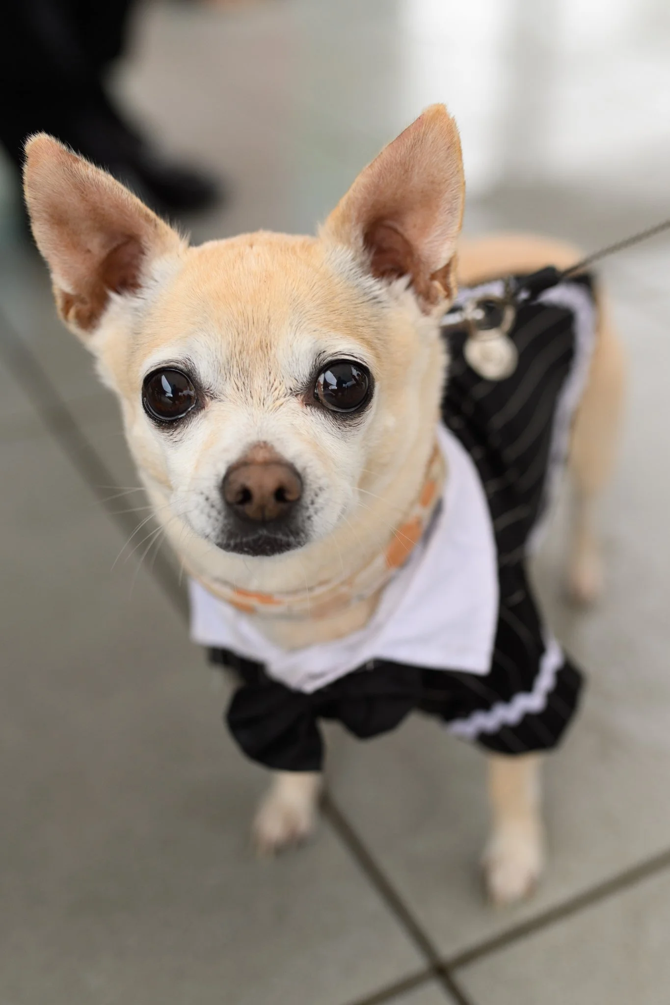 Asheville wedding photographer-682.jpg