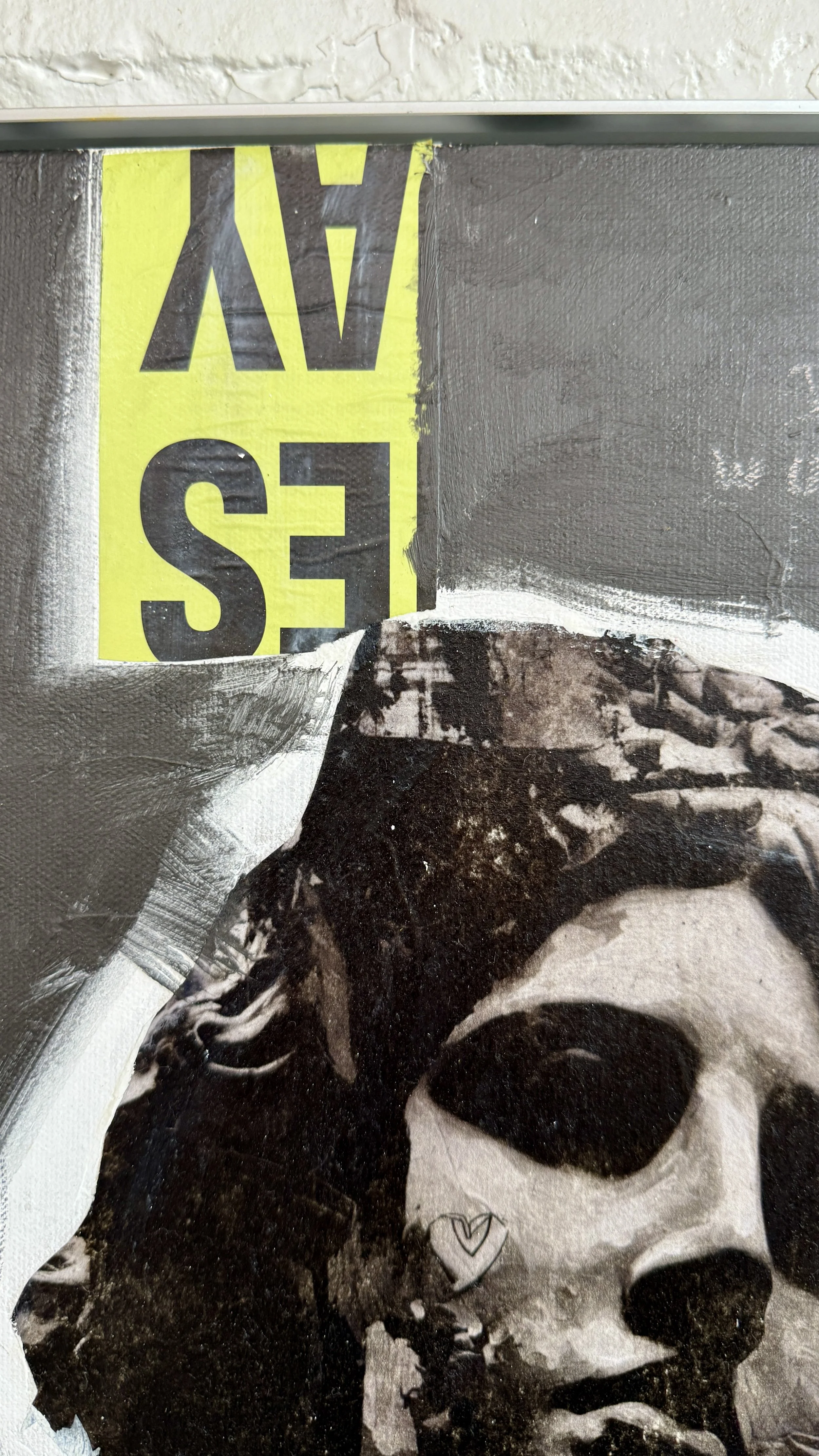 immortal-not-patient-graffiti-detail.jpg.jpg