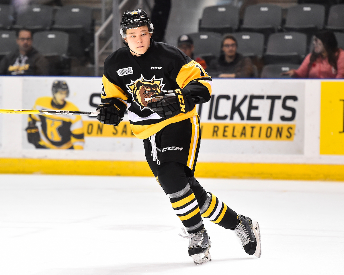 Matt Strome | F Hamilton Bulldogs