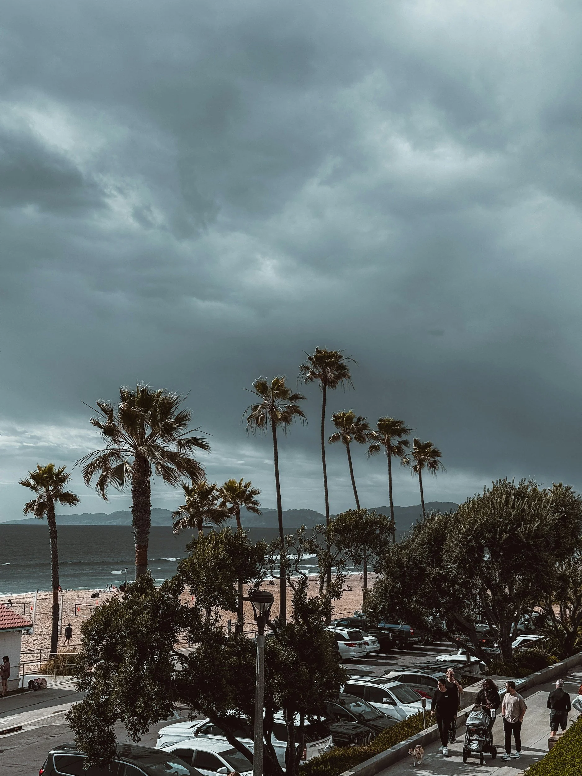 Moving to the South Bay: Which City is Right for You?