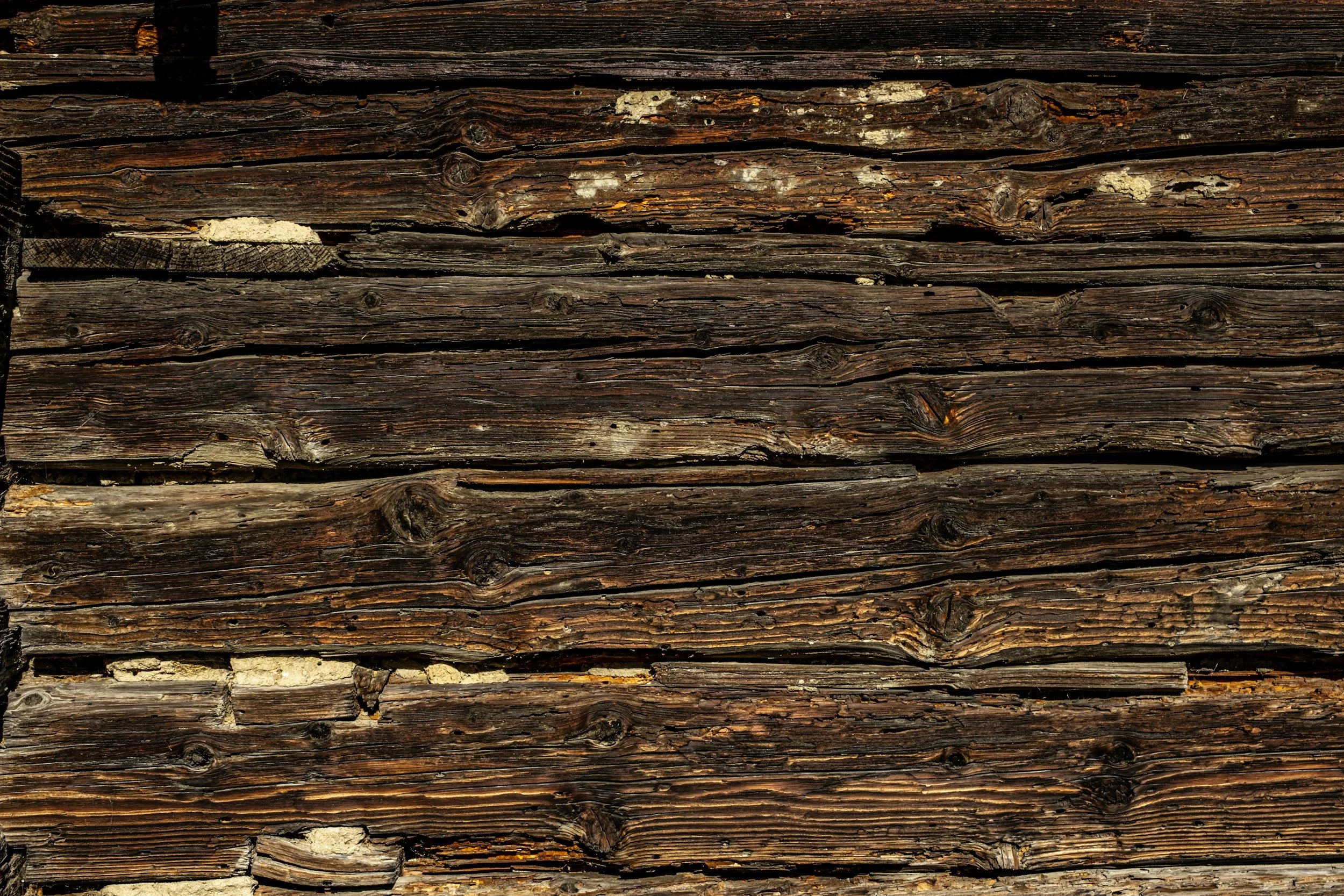 A termite report is your ultimate contract protection