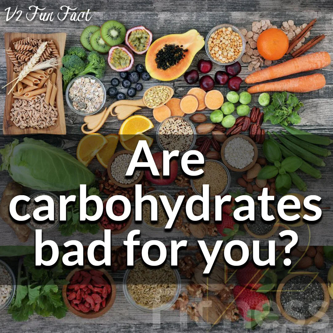Are carbohydrates bad for you?