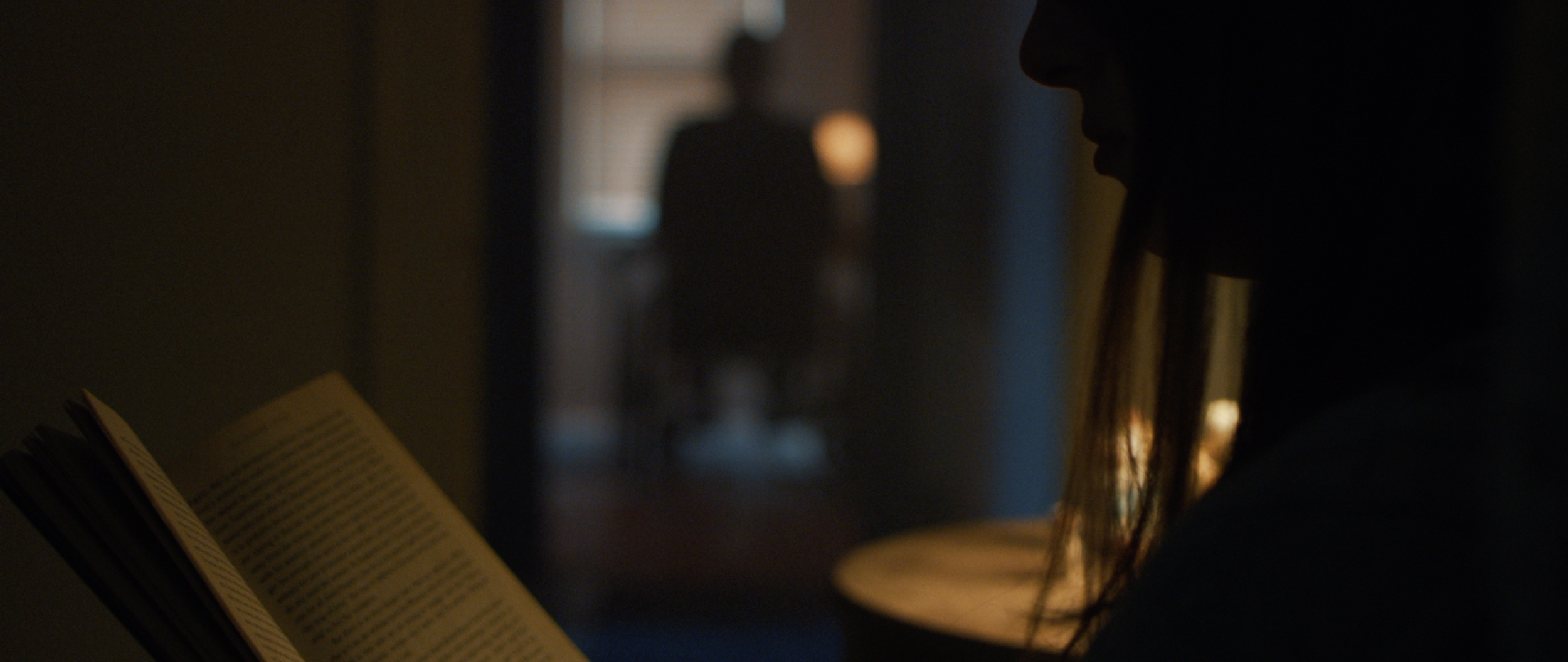 Screen Shot 2019-02-16 at 12.22.16 PM.png