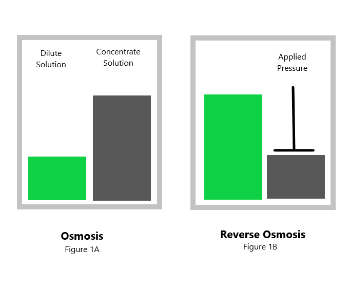 Osmosis .png