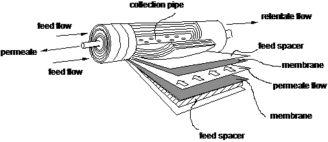 BLOG IMAGE.png