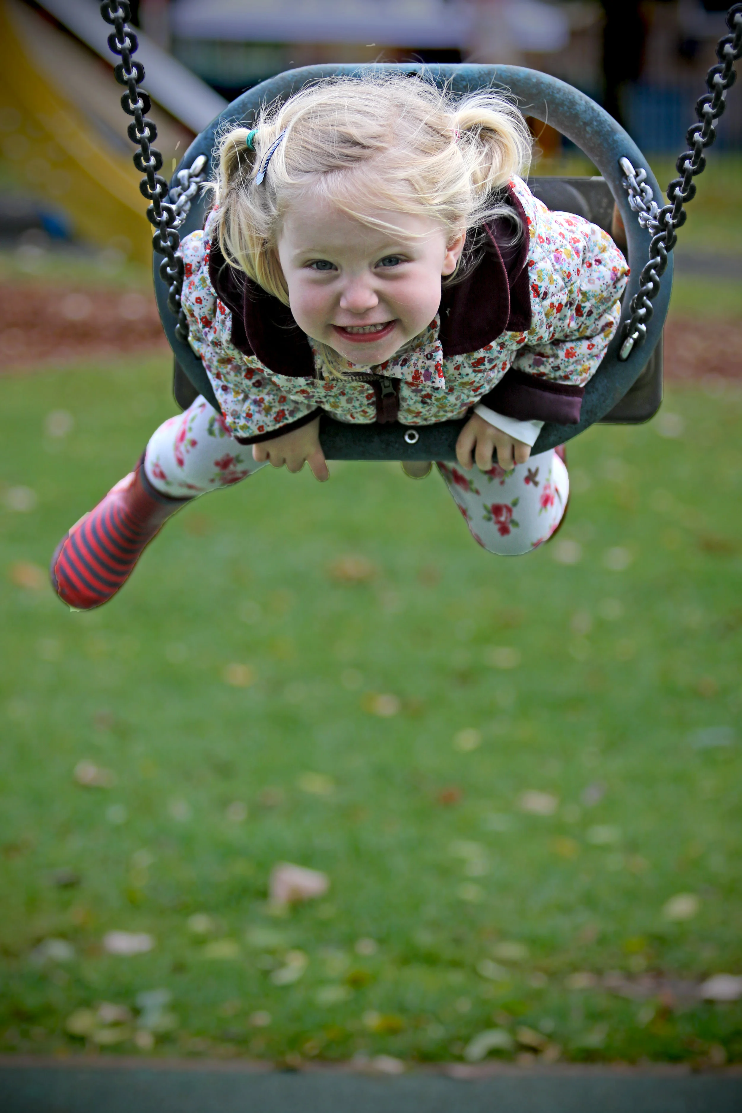 Islay-swing.jpg