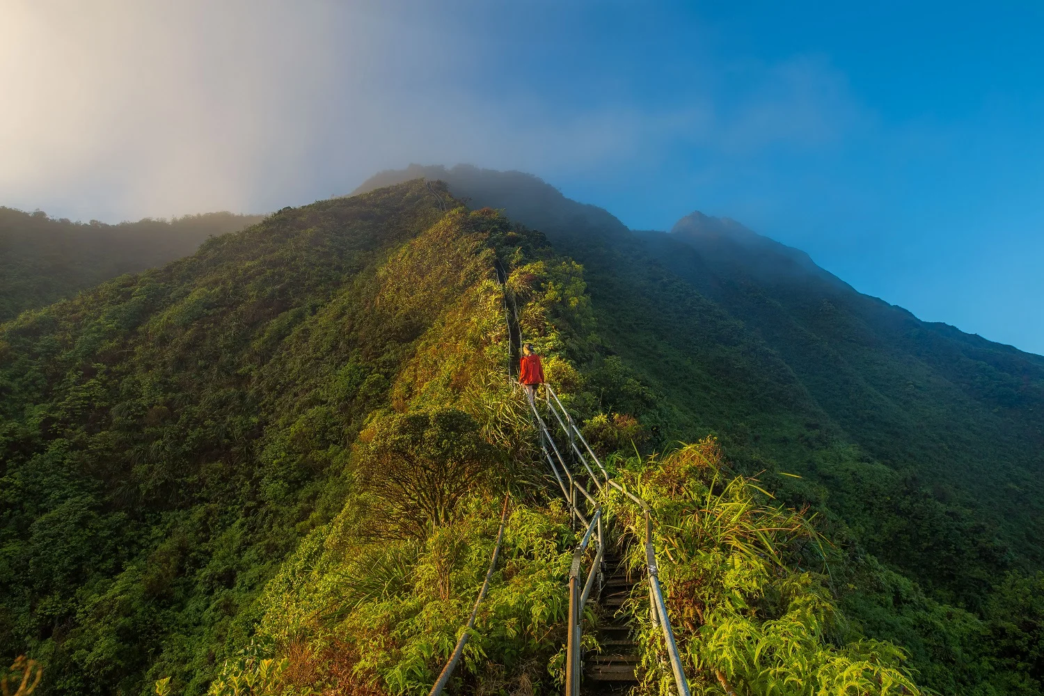 Why Ambition and Strength are (Sometimes) Overrated 