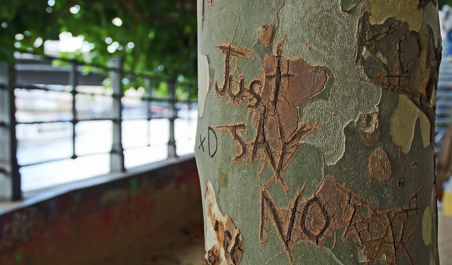 Why ‘No’ Should be Part of our Vocabulary  