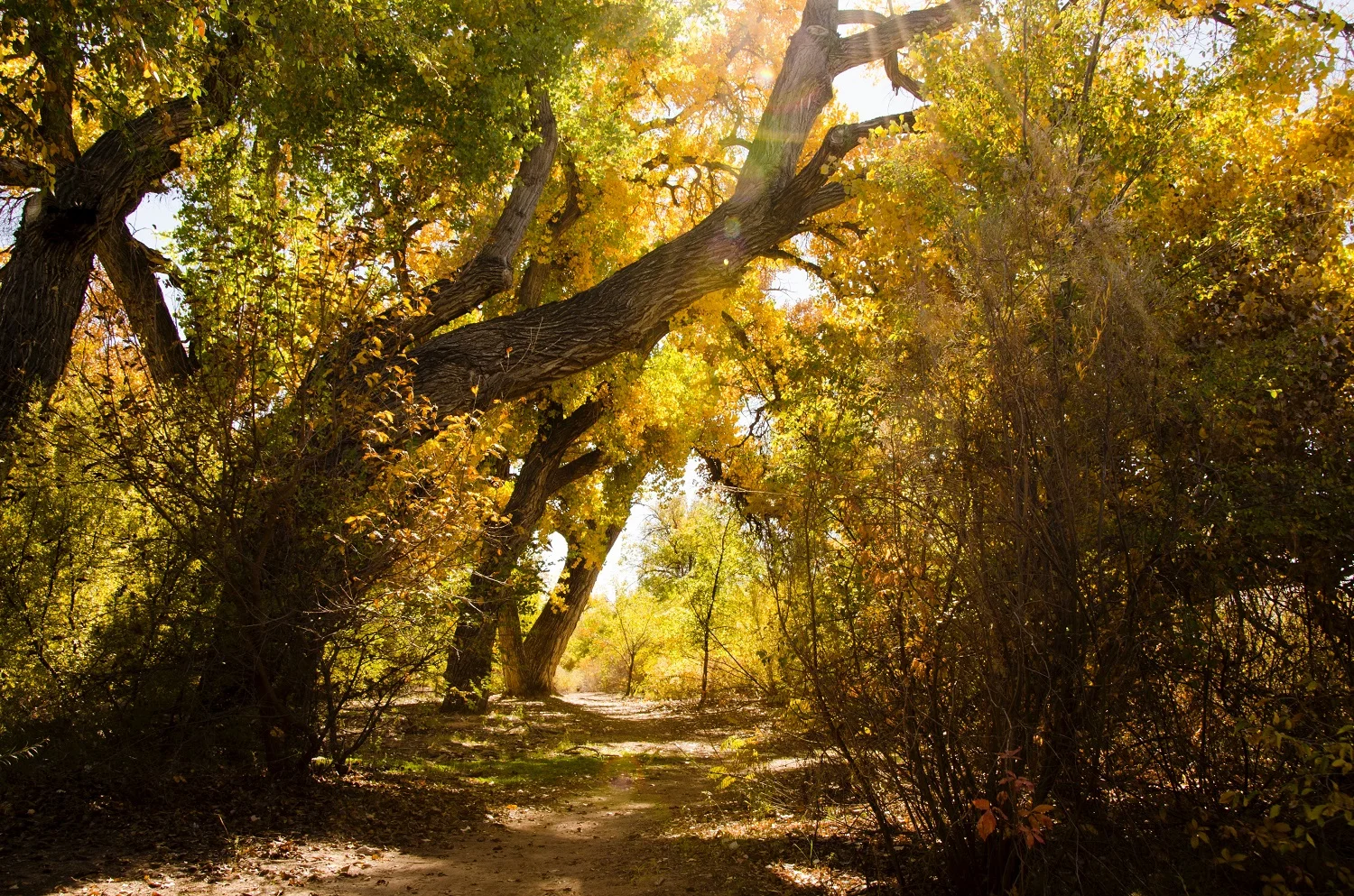 3 Strategies to Masterfully Handle Your Next Transitional Moment