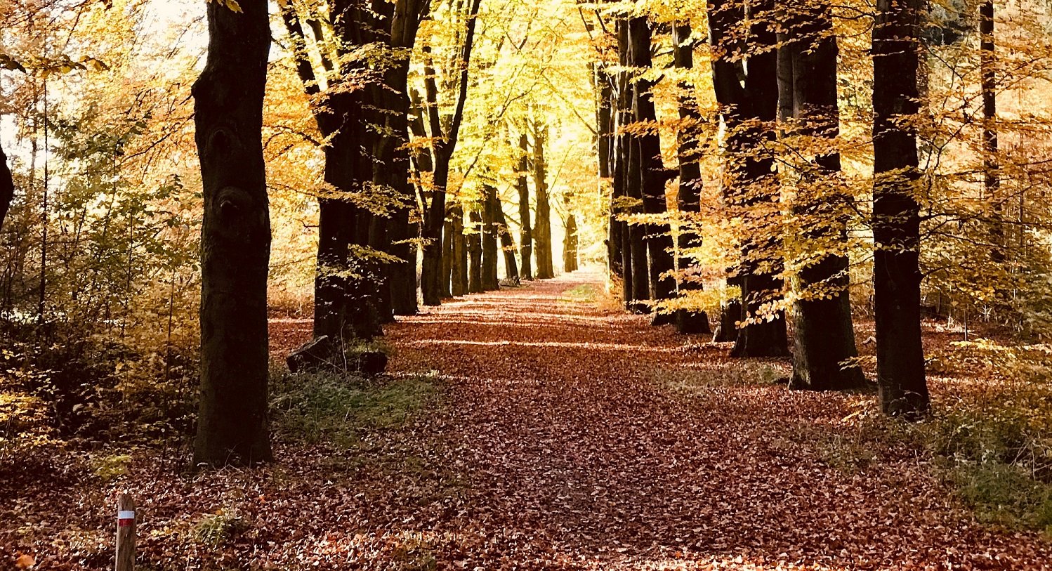 DoorD to Help Leaders Spot Invisible Carrer Options
