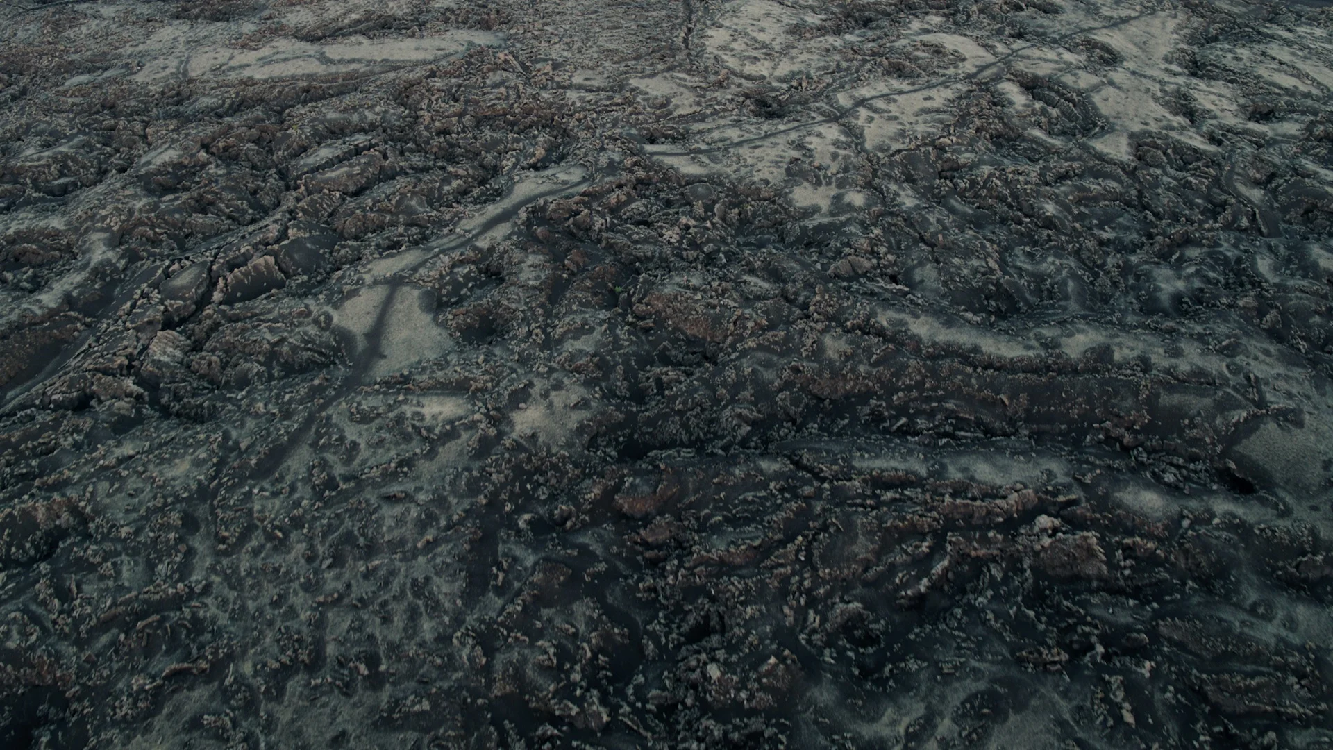 Paloma_Still_04.jpg
