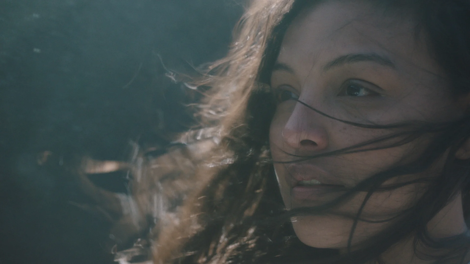 Paloma_Still_06.jpg