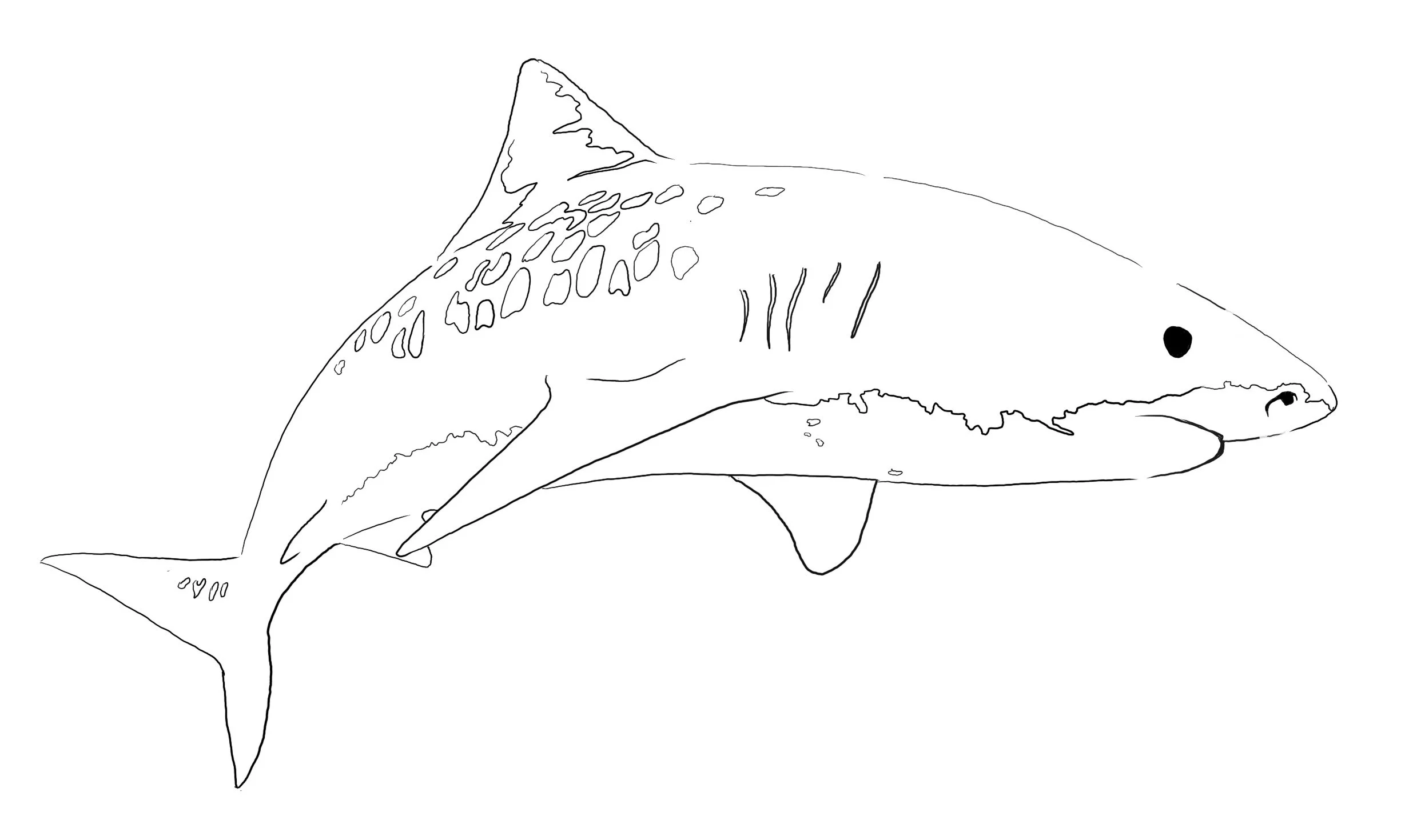 Untitled_Artwork 11.jpg