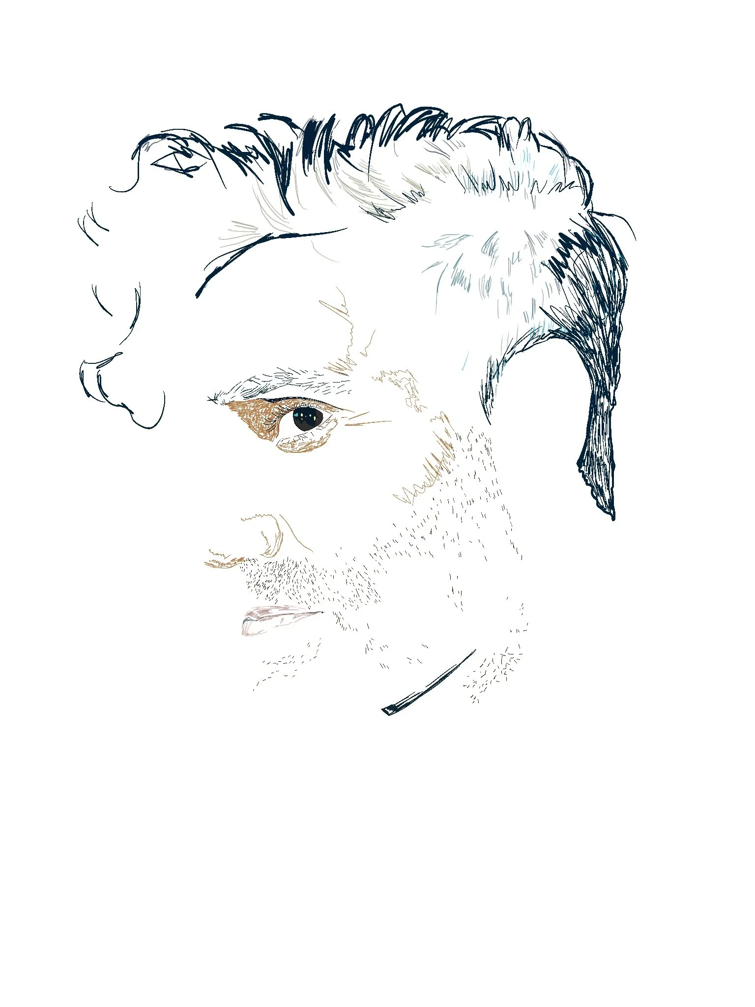 Untitled_Artwork 8.jpg