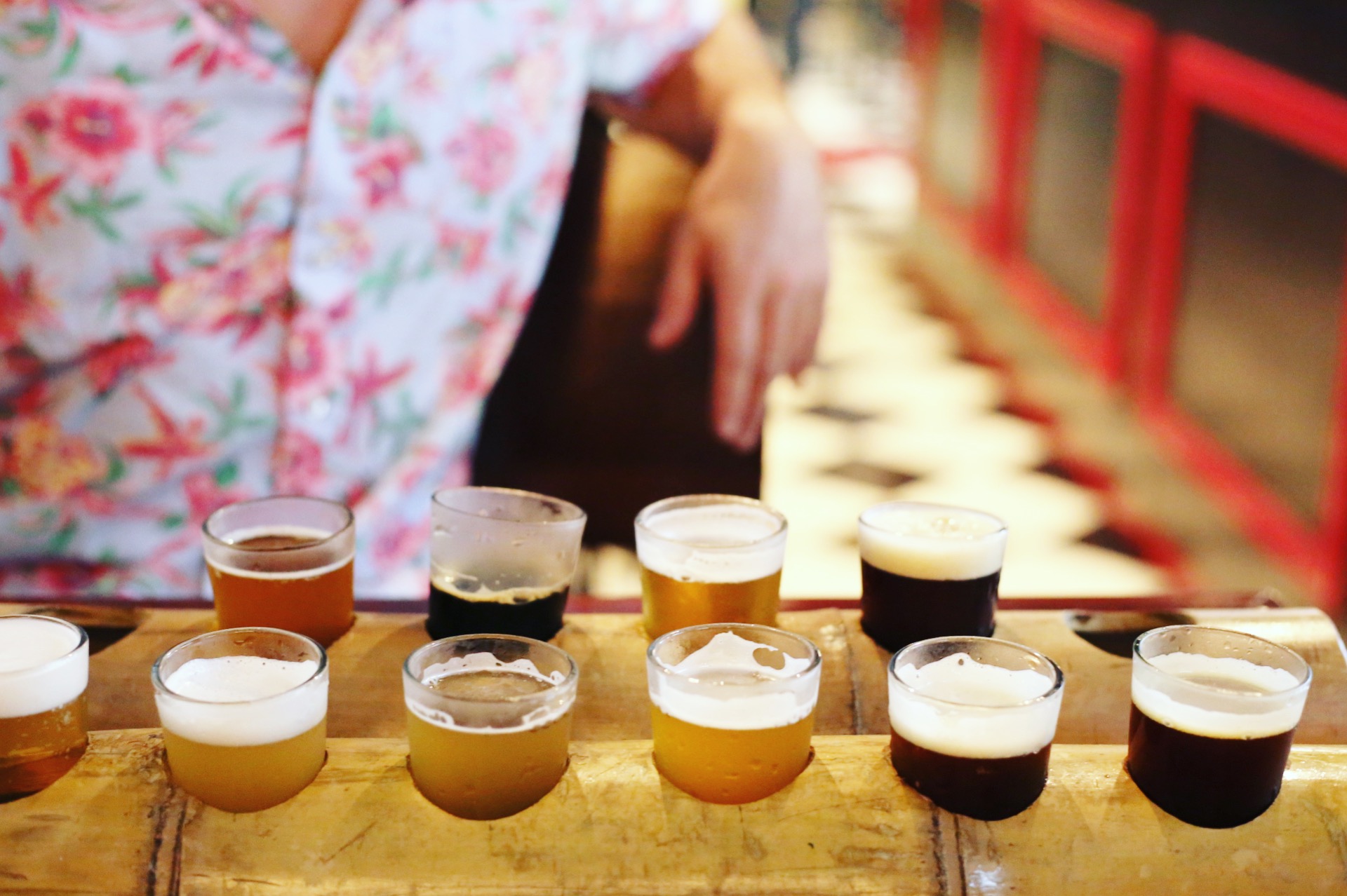 All ten Frubrew beers plus a cameo by Nikola's tropical SSBD.