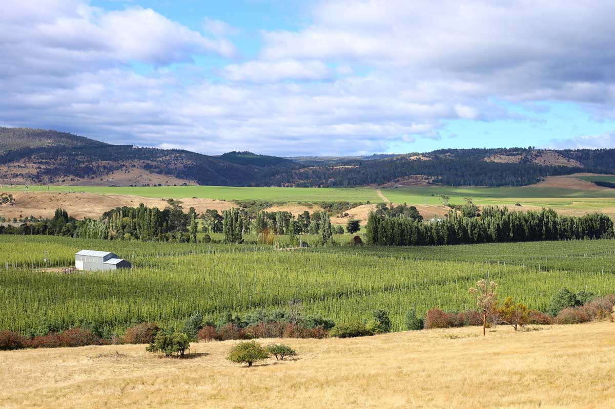 View of HPA hop farm from the road.