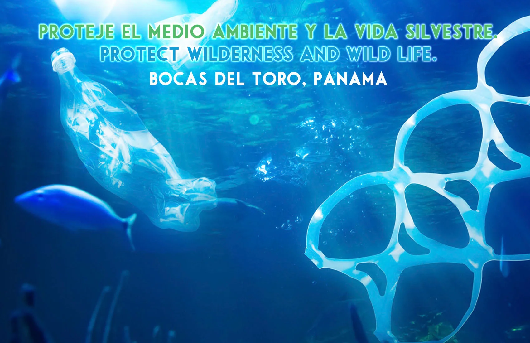 download (2).jpeg