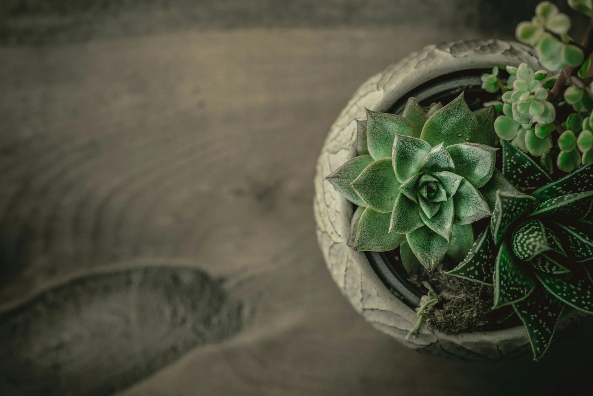 unsplash-image-lFEKHLxarQk.jpg
