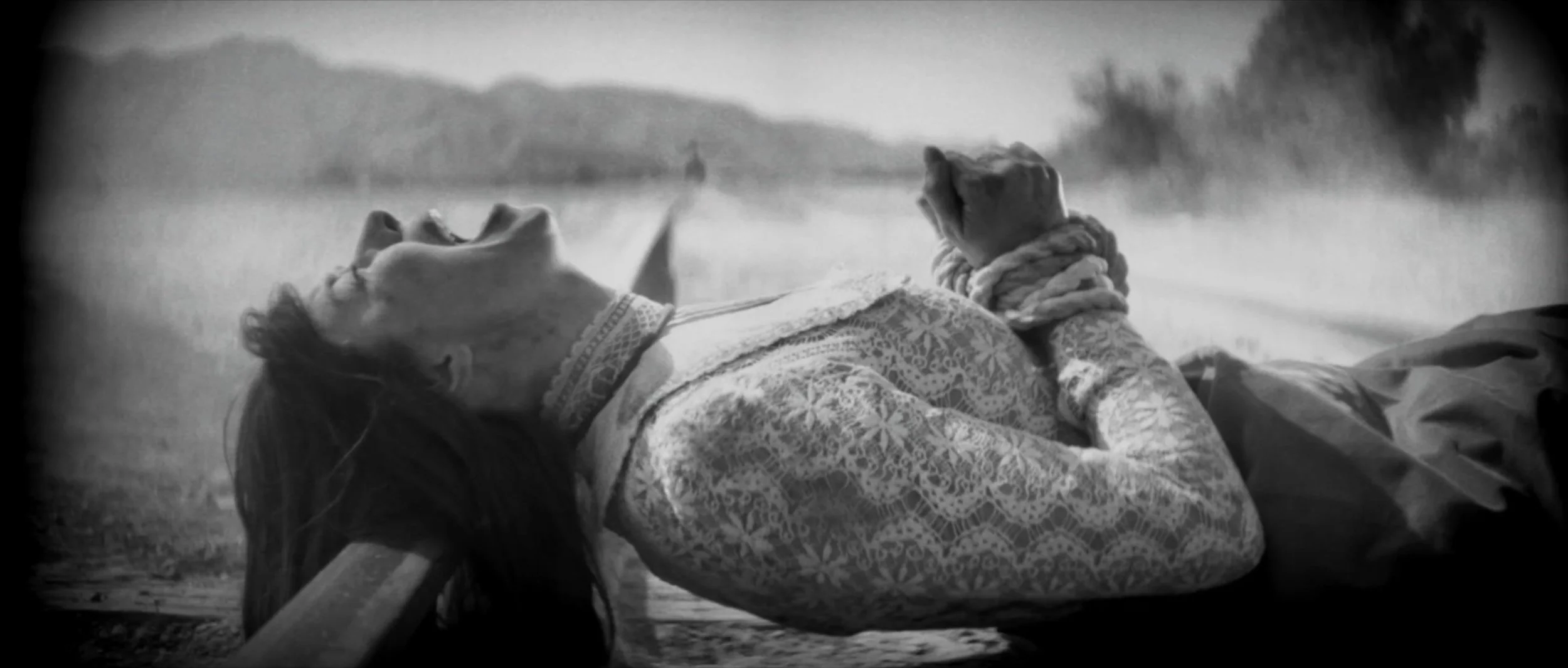 Mark Jenkinson / Imperial Woodpecker