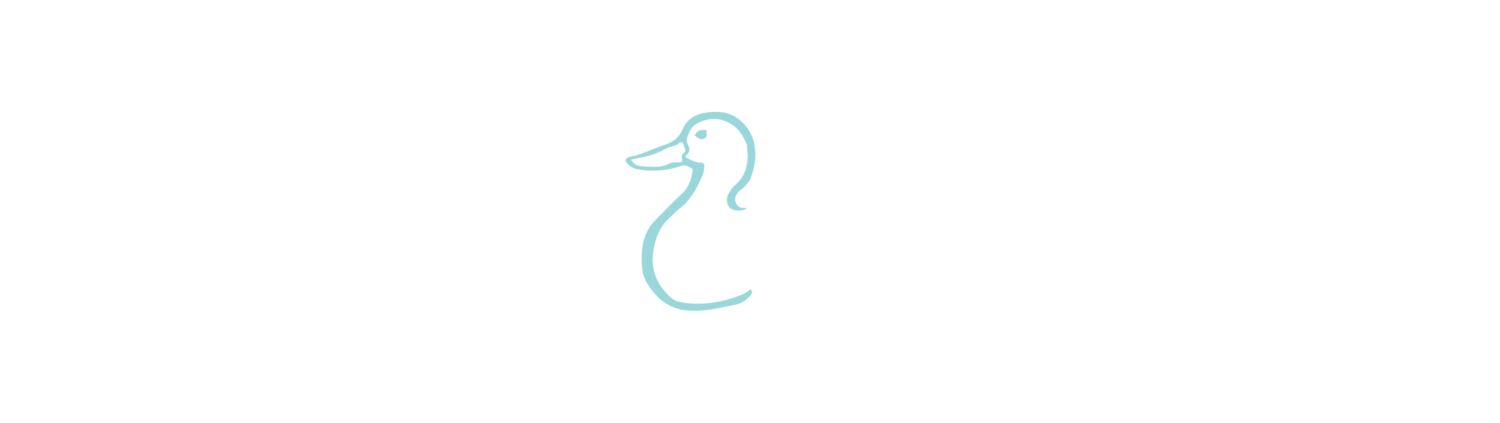 The Duck Truck