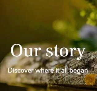 HADDONSTONE GARDEN PRODUCTS   |  WEBSITE COPYWRITING