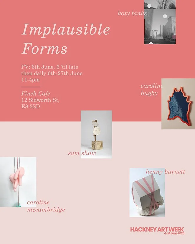 Implausible Forms_Katy_Binks.jpg