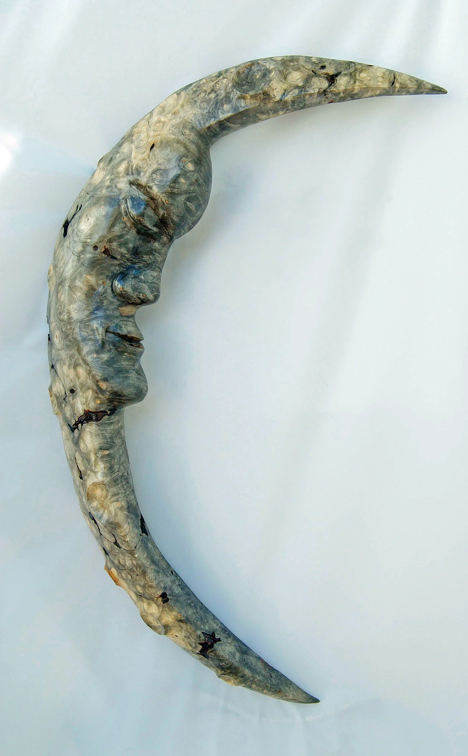 Buck eye burl moon