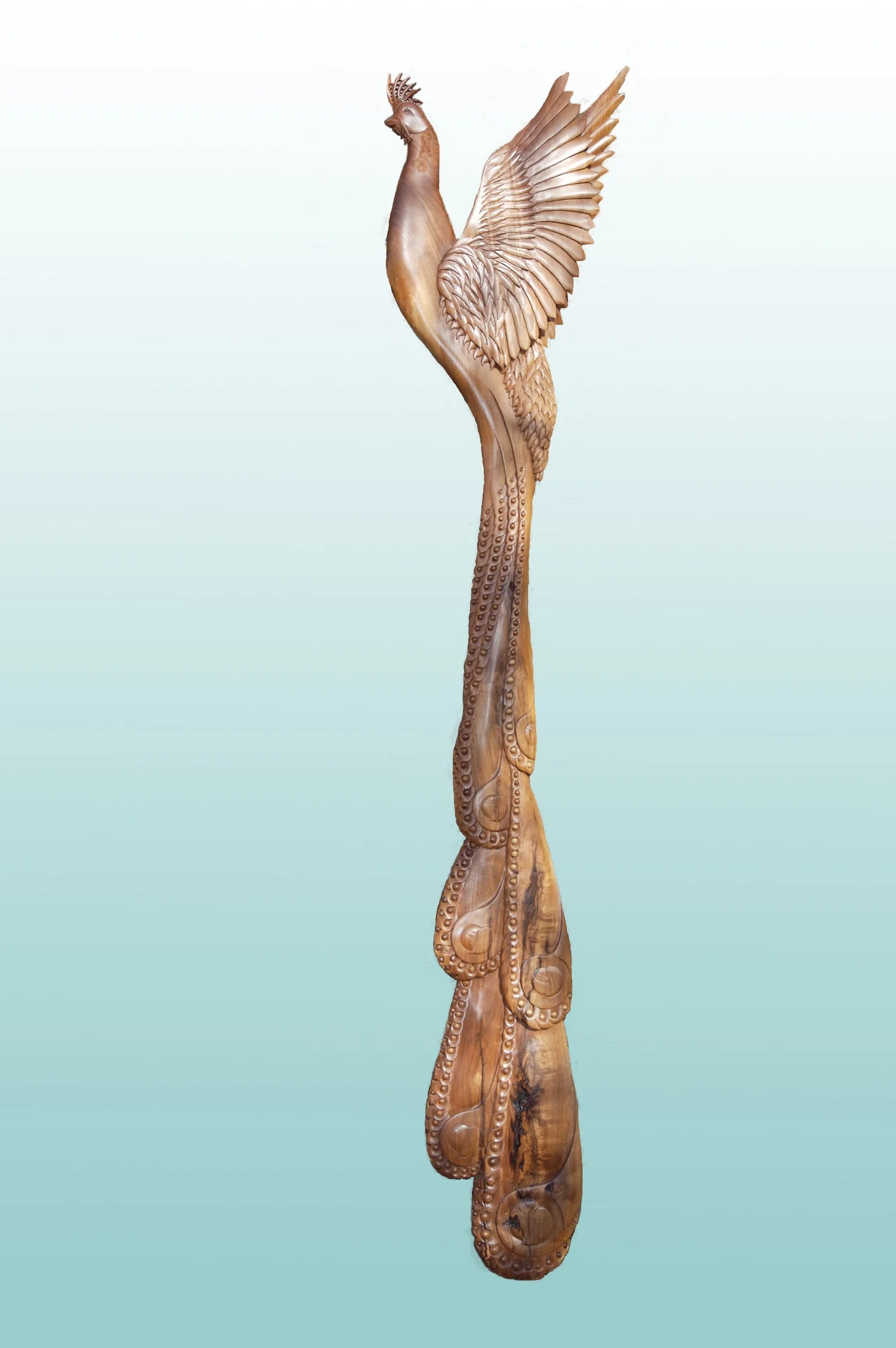 Pete's - 10 foot tall - black walnut peacock