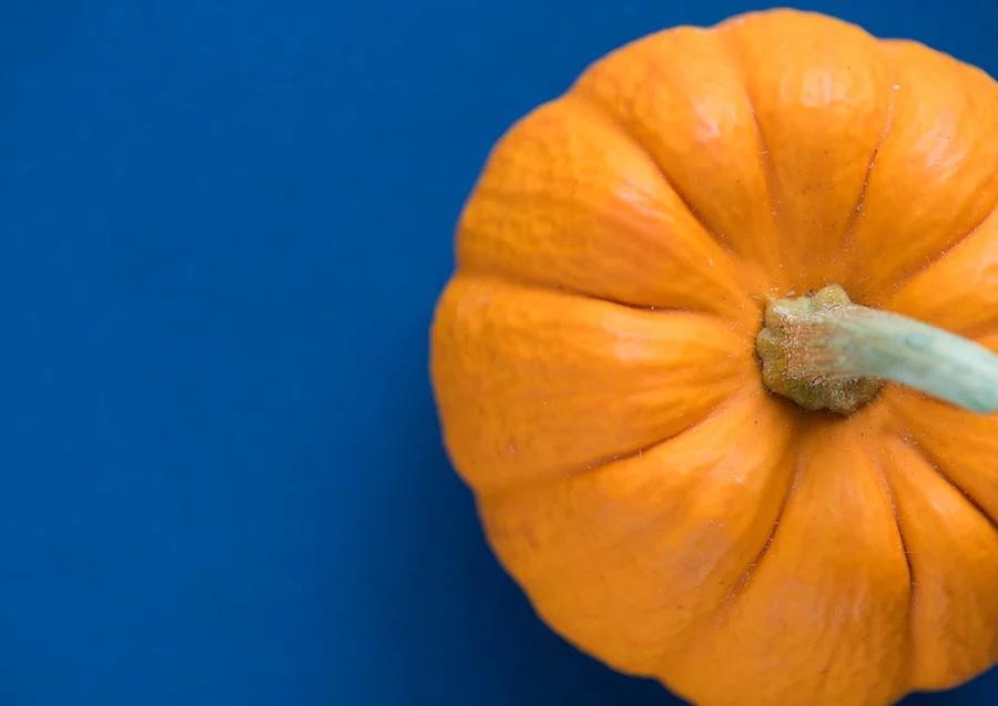 4 Best Pumpkin Patches in Atlanta