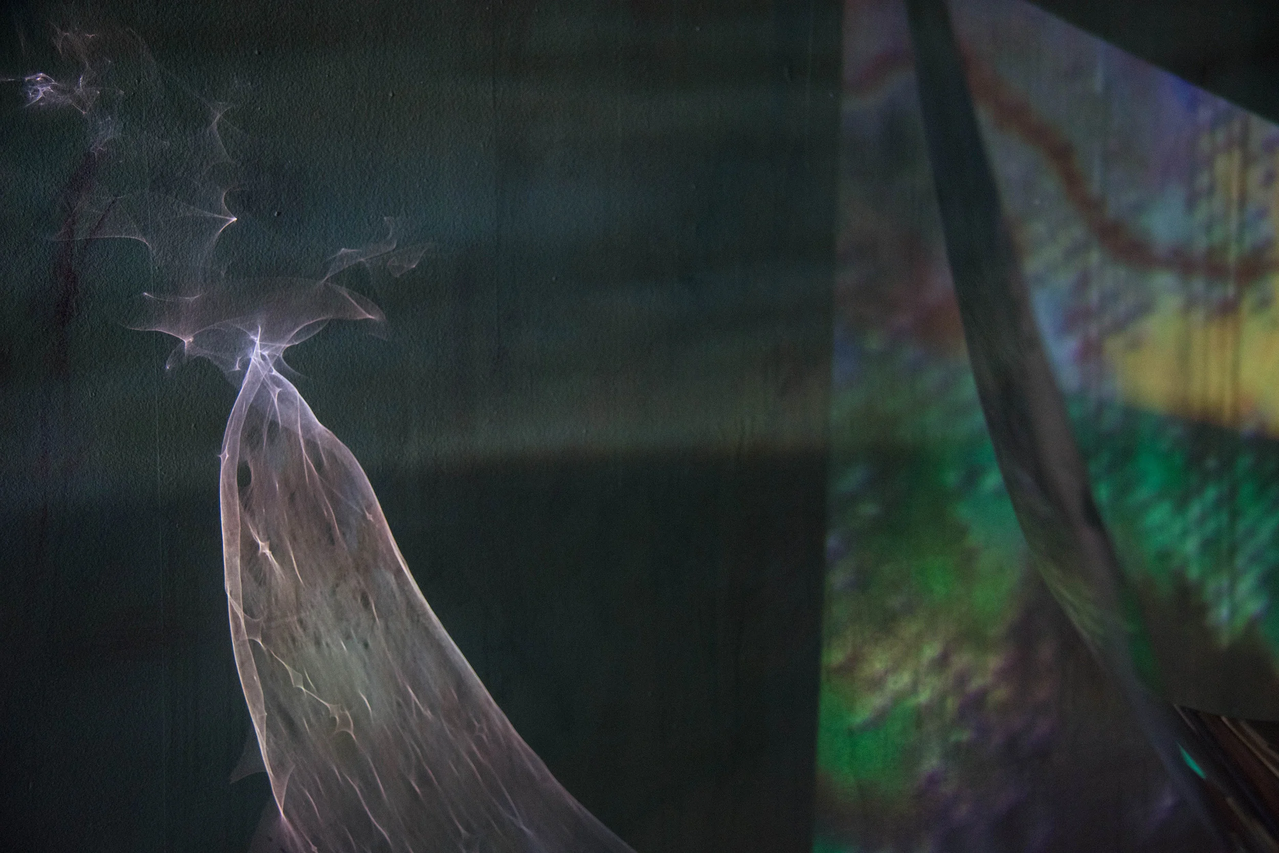 It’s What’s Beneath  functions as an incubator for community and for conversation, bringing together artists, community members, and people included in a minority group that one day every single human will be a part of: the disability community.  M