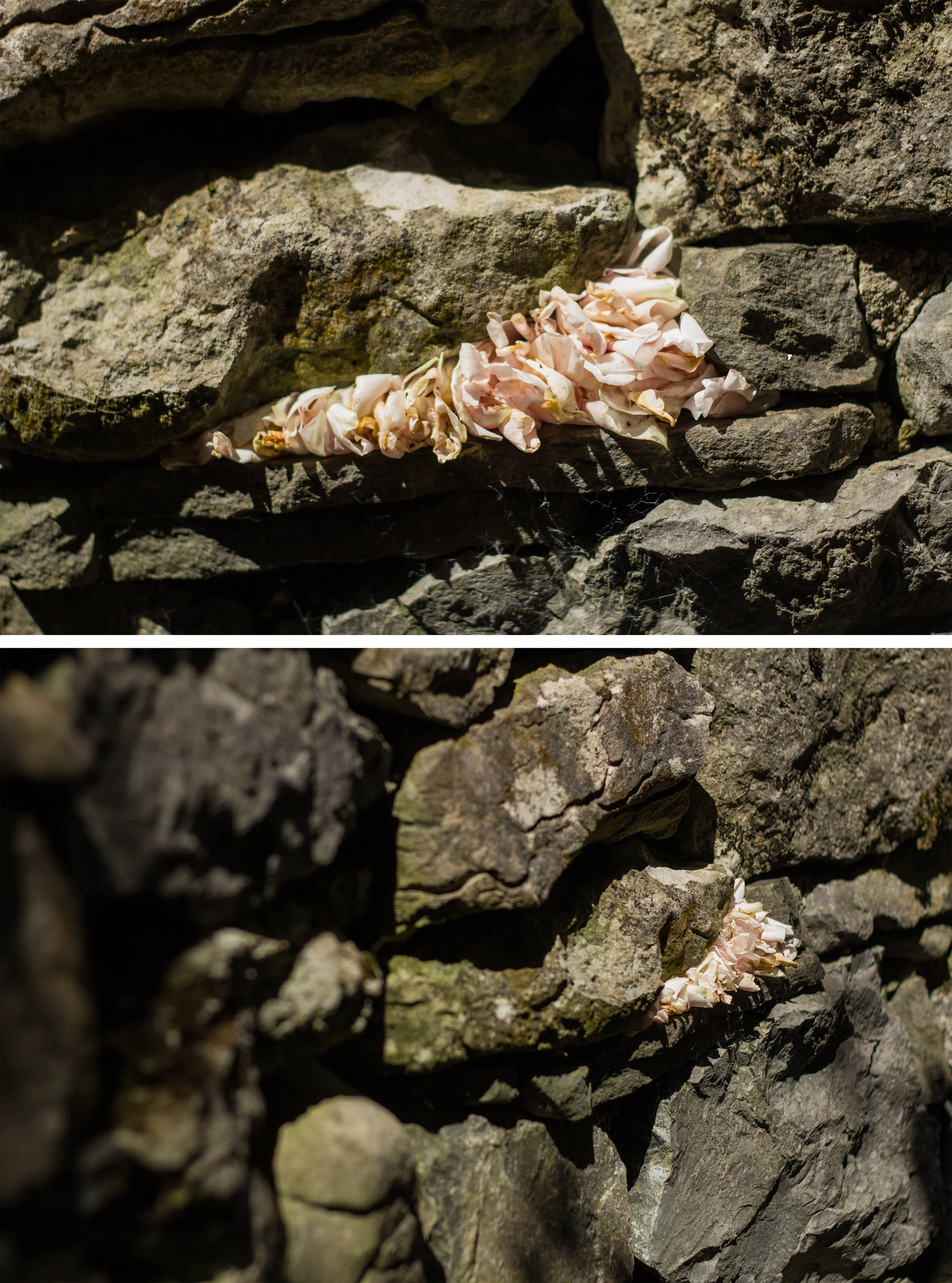 Dialogue with Andy Goldsworthy no.2 Earthwork at Burren Perfumery, Ireland ~ 7” x 3” 2015