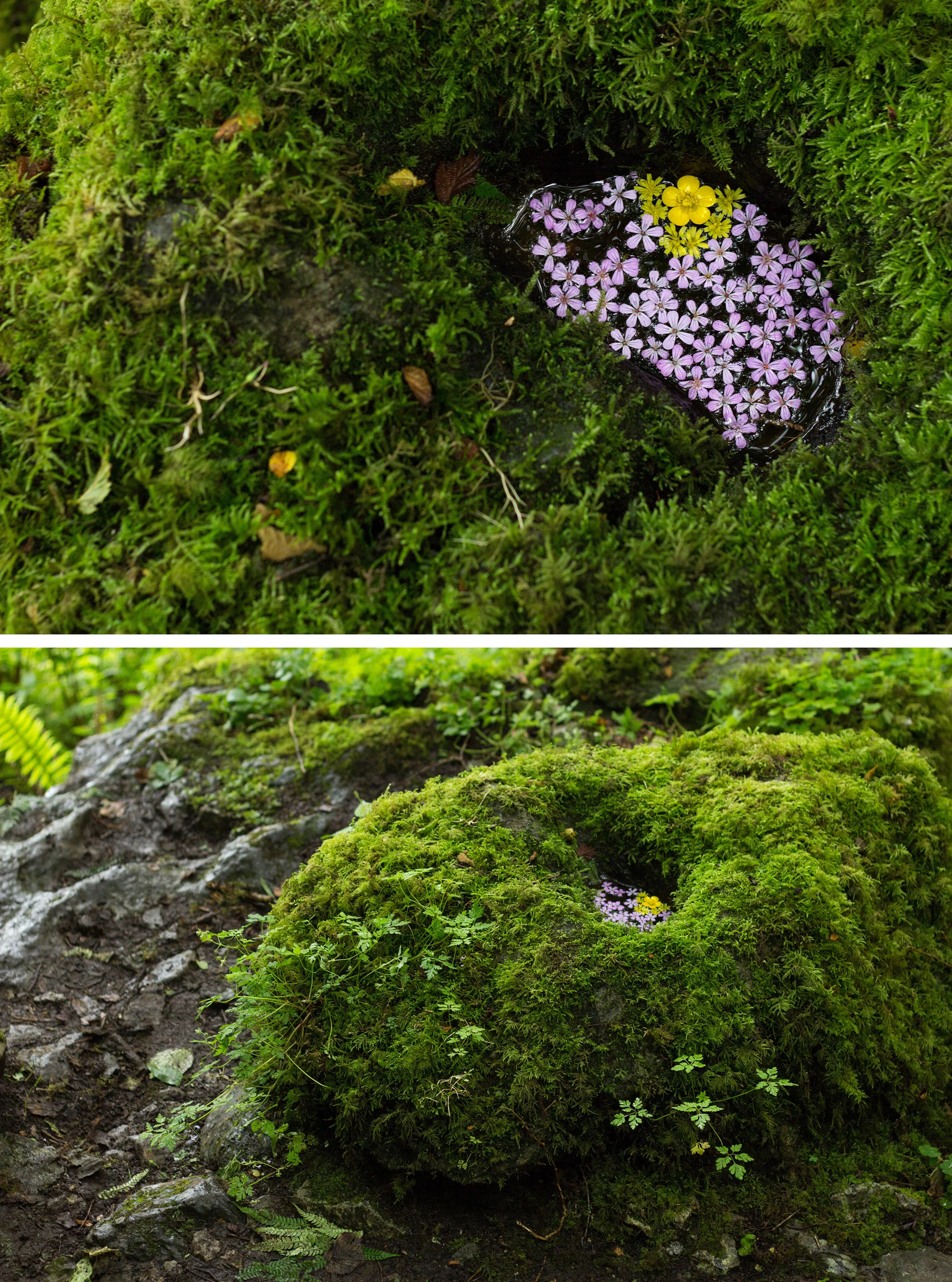 Dialogue with Andy Goldsworthy no.1 Earthwork in Country Clare, Ireland ~ 5” x 5” 2015
