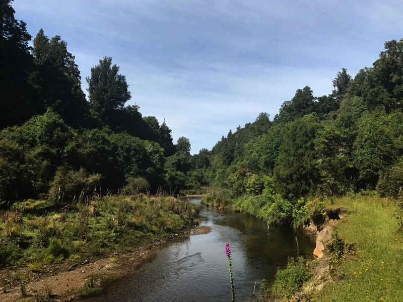 Day 45: Waihaha Hut to Mangawhai Road/4WD Track (1003-1021) 