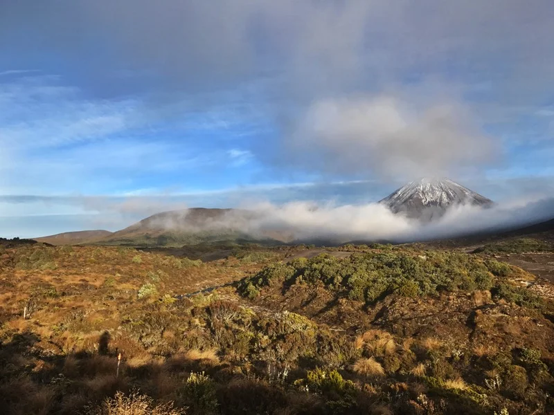 Day 53: Waihohonu Hut to Whakapapa Village (14.5 km)