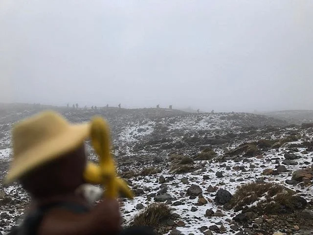 Day 52: Kiwi watches people walk the Tongariro Crossing in the fog and snow. We were both glad we experienced it in perfect weather on Tuesday.