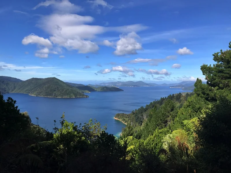 Day 86: Schoolhouse Bay Campsite to Bay of Many Coves Campsite (1705-1734)
