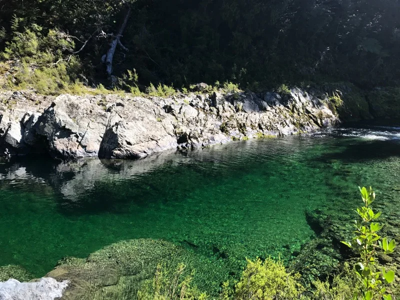 Day 90: Pelorus Bridge Campsite to Middy Creek Hut (1808-1835)