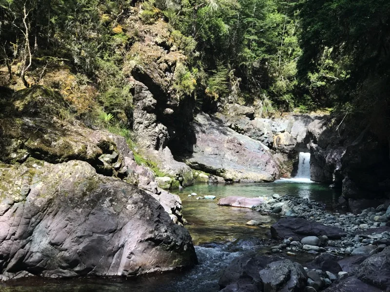 Day 94: Mt Rintoul Hut to Top Wairoa Hut (1878-1900)
