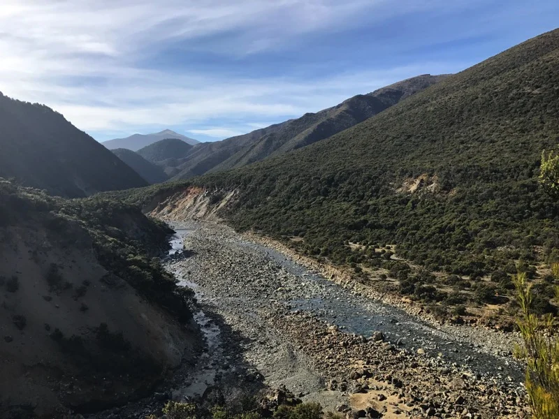 Day 95: Top Wairoa Hut to Red Hills Hut (1900-1928)