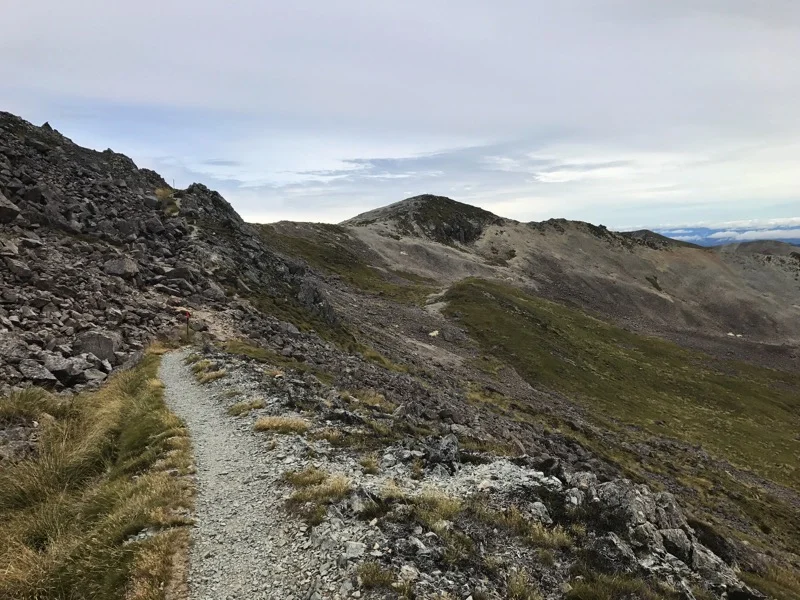 Day 97: St Arnaud to Angelus Hut (1945-?)
